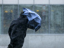 باد و توفان در بروکسل، بلژیک. (Olivier Hoslet/EPA)